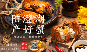视频专栏