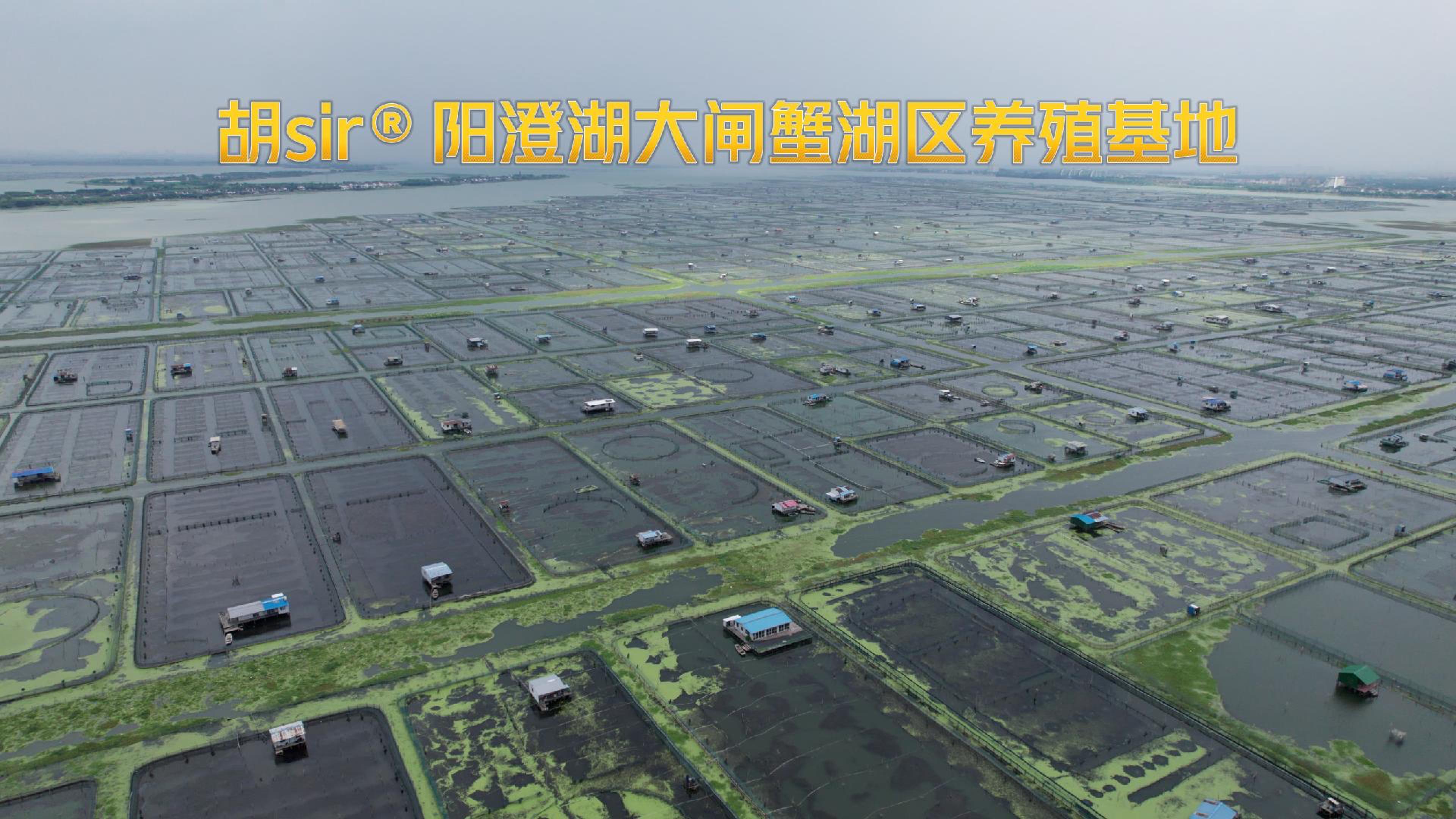 公司湖区养殖区域