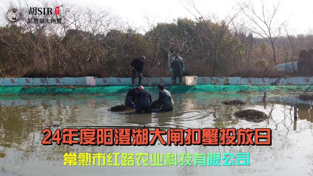《24年度阳澄湖扣蟹投放》缩略图